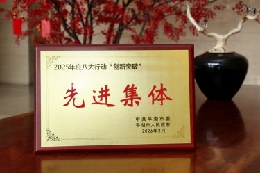 策马扬鞭启新程！8868体育官网首页入口在平湖市三级干部大会上荣获“创新突破”双项荣誉